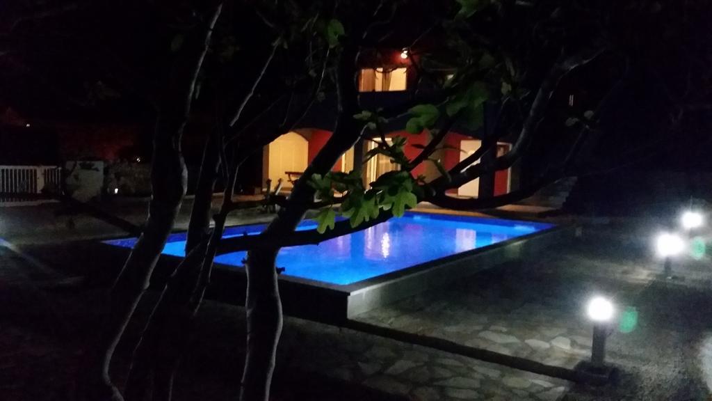House With Swimming Pool Blue Diamond Apartment Povljana Room photo